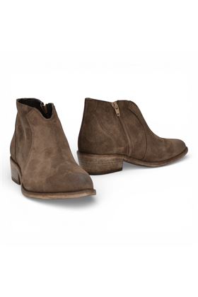  CURIOSITE' | 2923-COFFEE