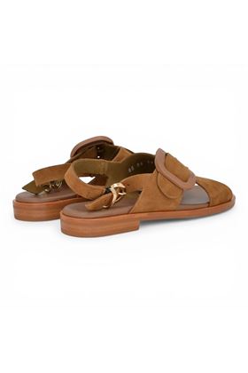  FRAU | 85B6-CANNELLA