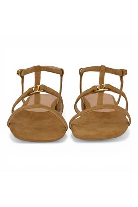  UNISA | CARENA-MISTRAL