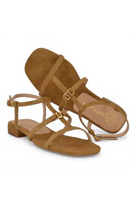  UNISA | CARENA-MISTRAL